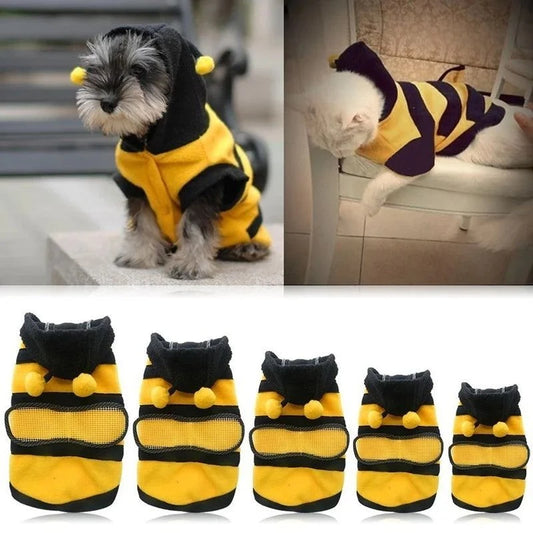 Bee Pet Hoodie on a small dog posing outdoors in autumn