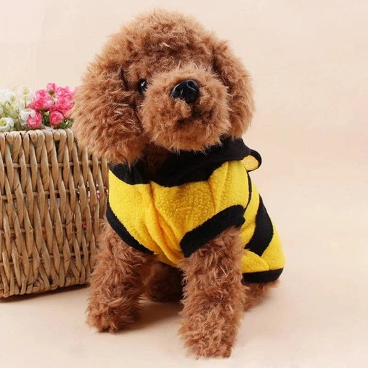 Bee Dog Hoodie Costume Fleece Sweater for Pets🐝 Bee Dog Hoodie Costume Fleece Sweater for Pets
Turn your furry friend into the cutest little buzz-maker with this Bee Dog Hoodie Costume Fleece Sweater. Designed Happy PawsHappy PawsBee Dog Hoodie