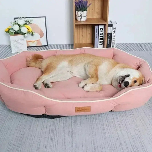 How to Choose The Best Pet Bed for Your Dog or Cat - Dog lounging in a pink pet bed.