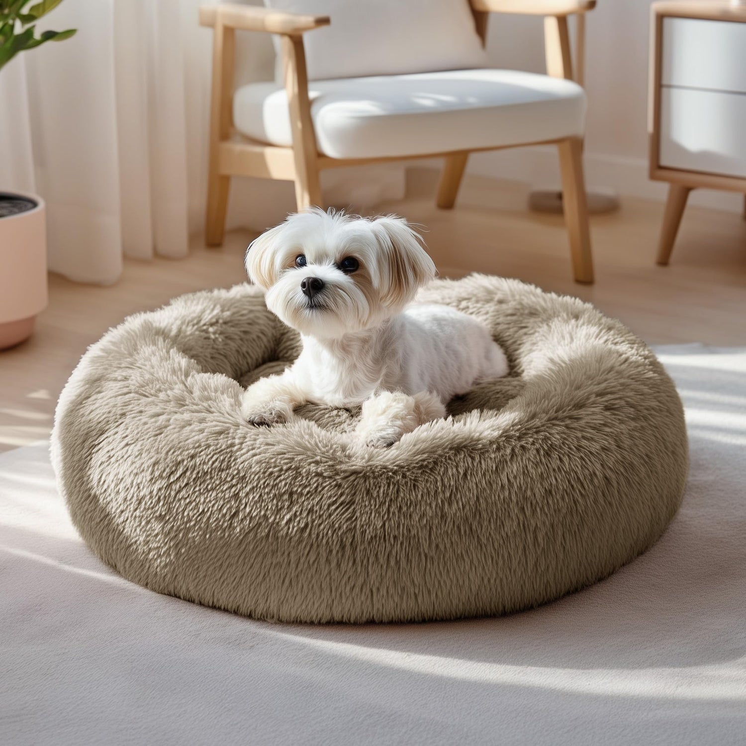 Pet Beddings
