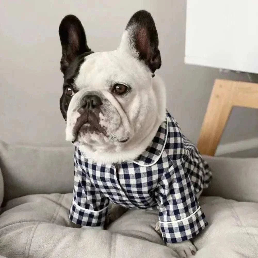 Pet Apparel That Keeps Tails Wagging in Style
