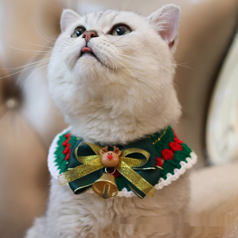 Christmas pet collar with green lace and red tulip pattern worn by a fluffy cat