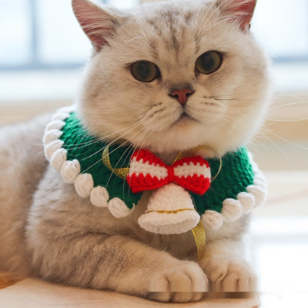 Christmas pet collar with green lace and red tulip pattern worn by a fluffy cat