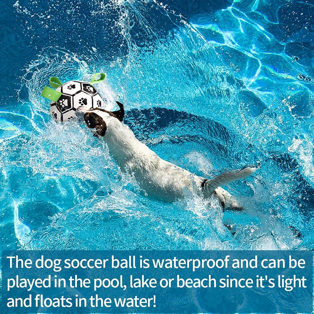 Interactive Dog Football - Inflatable Soccer Training Ball for Dogs