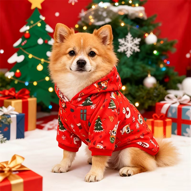 Dog Christmas hoodie in green color block on a dog during a winter walk