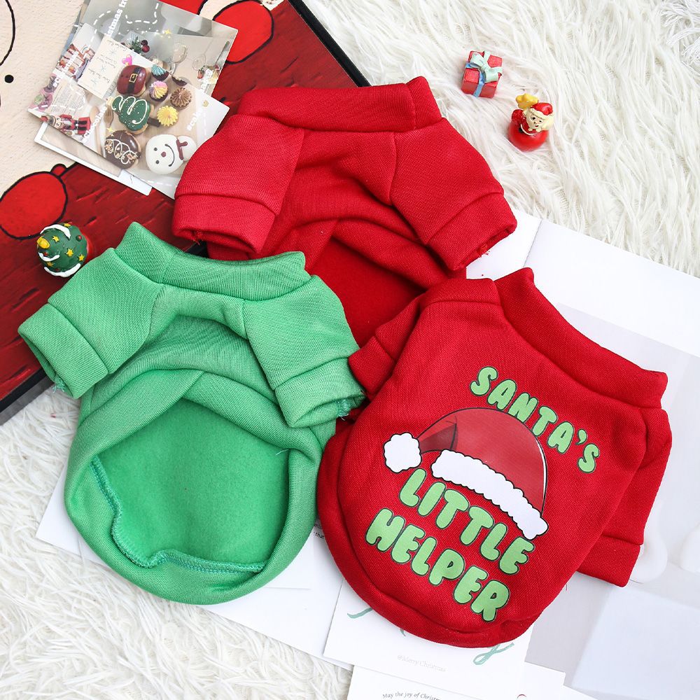 Dog Christmas crew neck sweater in red with Christmas tree design worn by a small dog