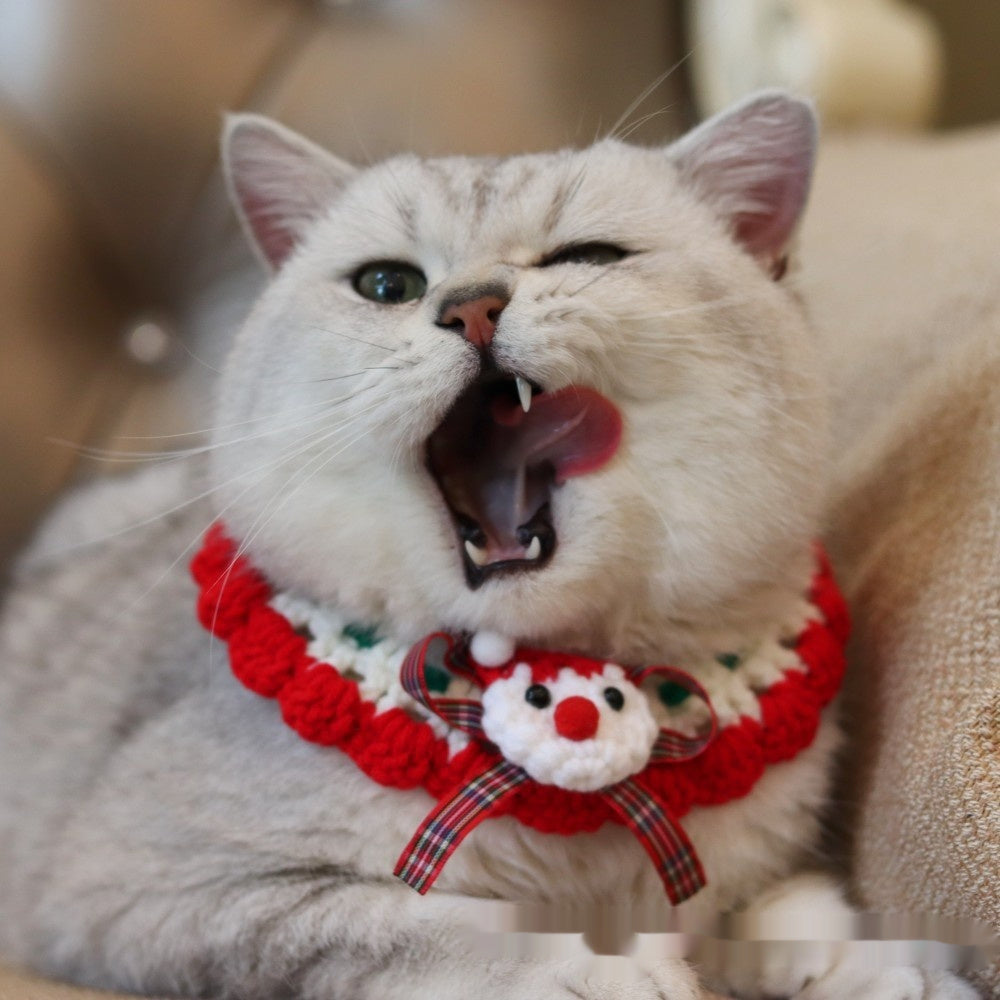 Christmas pet collar with green lace and red tulip pattern worn by a fluffy cat