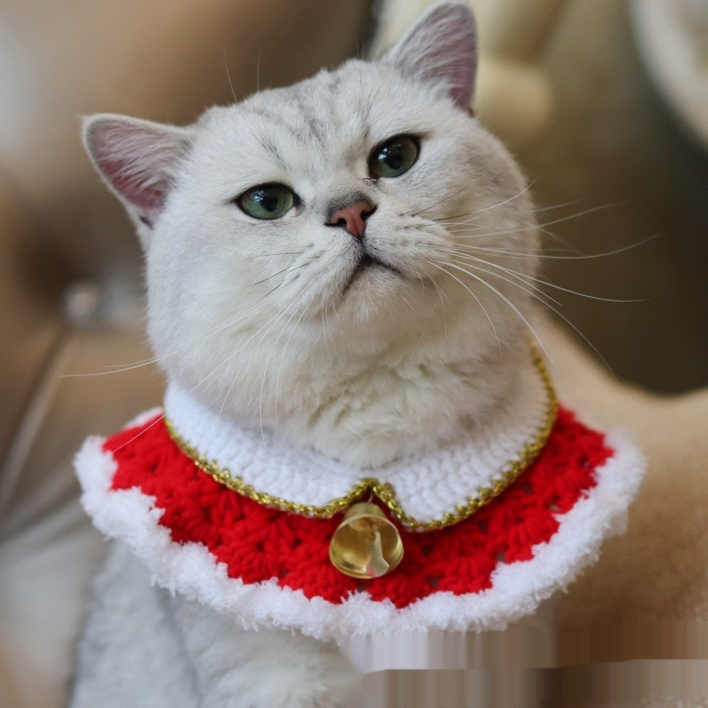 Christmas pet collar with green lace and red tulip pattern worn by a fluffy cat