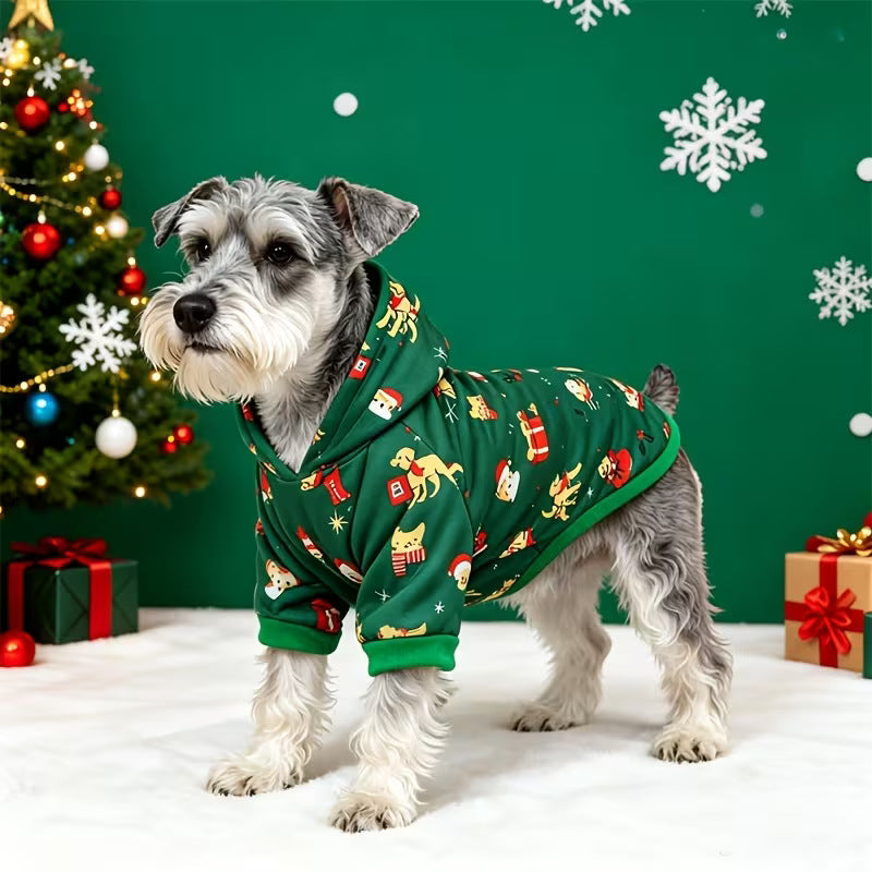 Dog Christmas hoodie in green color block on a dog during a winter walk