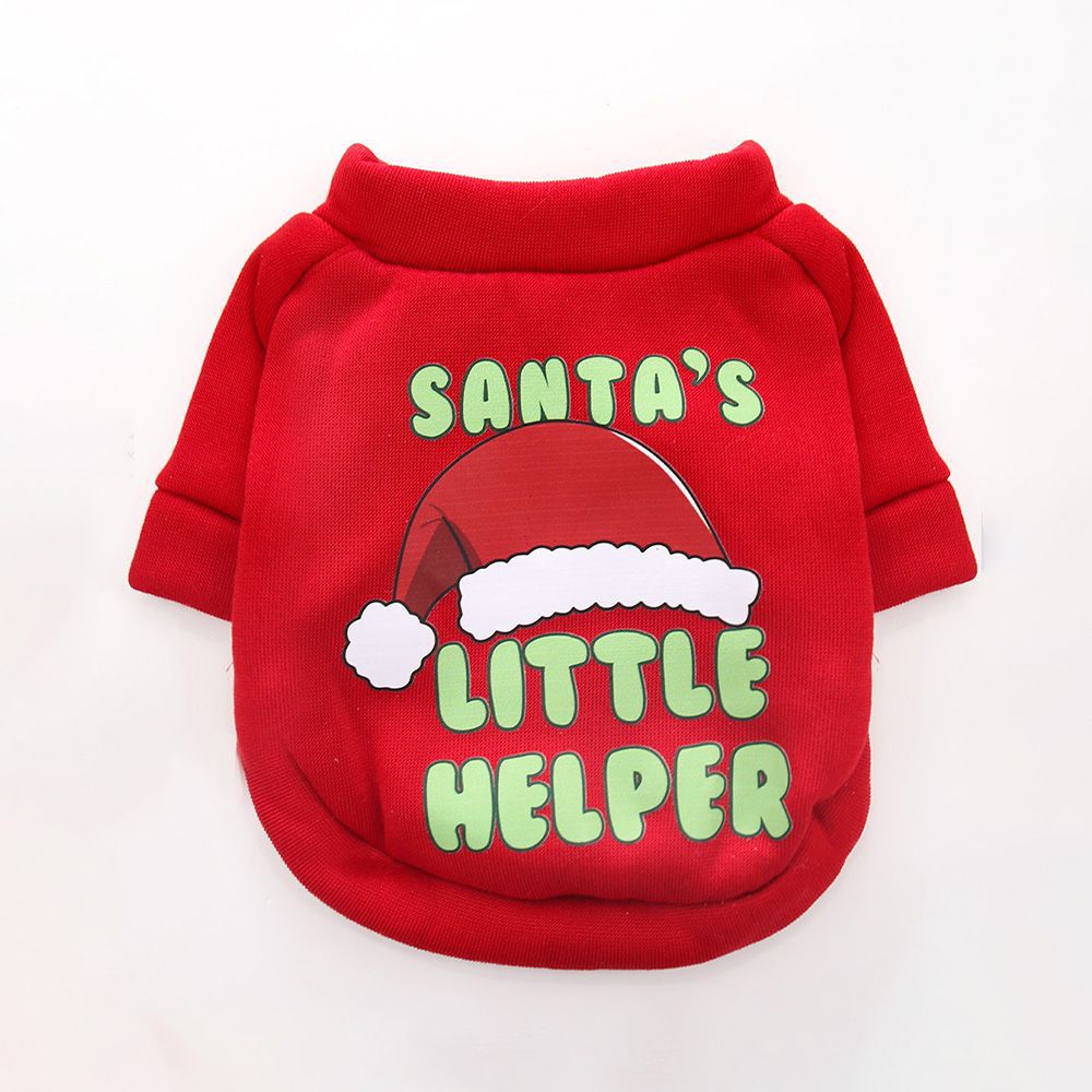 Dog Christmas crew neck sweater in red with Christmas tree design worn by a small dog