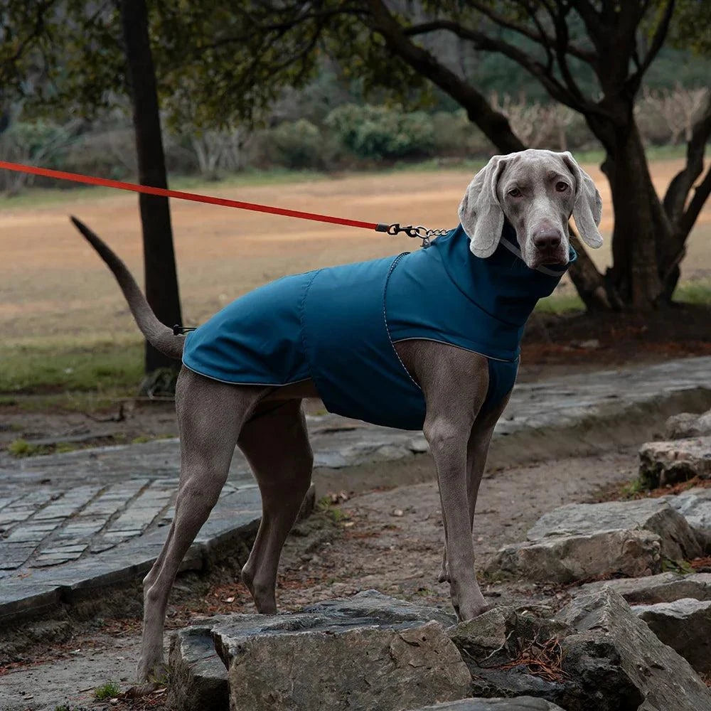 Waterproof Reflective Dog Raincoat for Medium Dogs🌧️ Waterproof Reflective Dog Raincoat for Medium DogsKeep your dog dry, comfortable, and visible on rainy walks with this Waterproof Reflective Dog Raincoat designHappy PawsHappy PawsWaterproof Reflective Dog Raincoaty