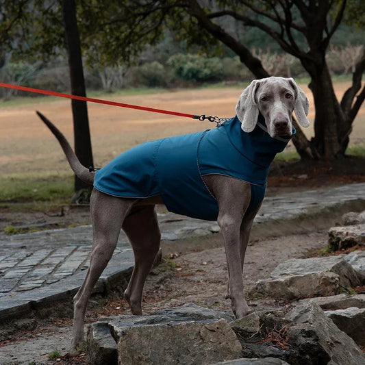 Waterproof Reflective Dog Raincoat for Medium Dogs🌧️ Waterproof Reflective Dog Raincoat for Medium DogsKeep your dog dry, comfortable, and visible on rainy walks with this Waterproof Reflective Dog Raincoat designHappy PawsHappy PawsWaterproof Reflective Dog Raincoaty