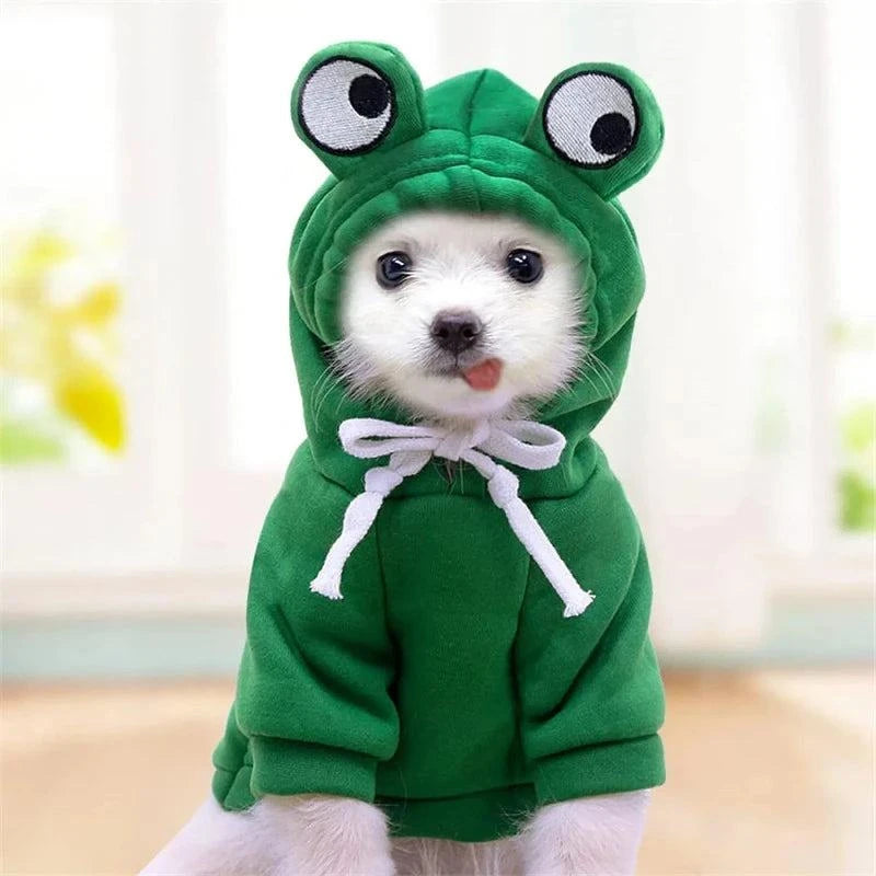 Winter Dog Hoodie for Small Dogs & French Bulldogs🐶 Winter Dog Hoodie for Small Dogs &amp; French Bulldogs
Keep your pup warm and stylish during chilly days with this Winter Dog Hoodie designed for small dogs and FHappy PawsHappy PawsWinter Dog Hoodie