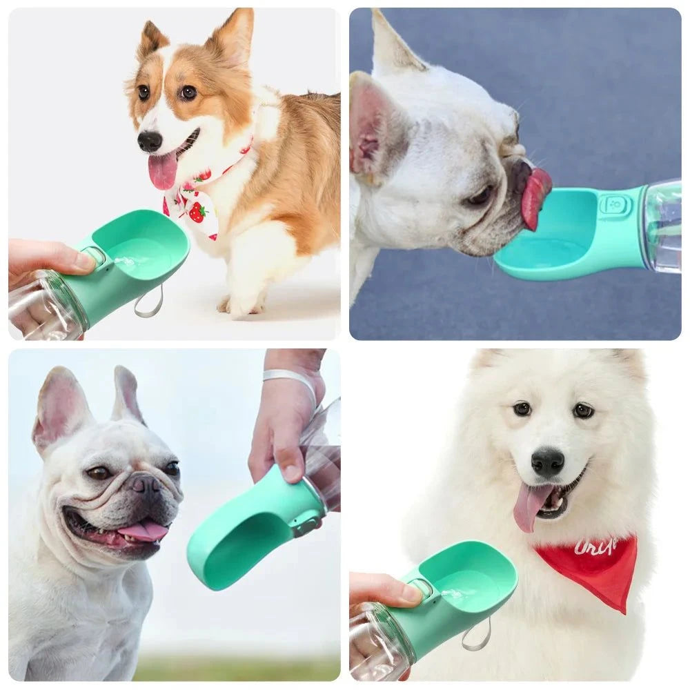 Portable Dog Water Bottle Leakproof Travel Bowl💧 Portable Dog Water Bottle – Leakproof Travel Bowl
Keep your pet hydrated wherever you go with this Portable Dog Water Bottle, designed for walks, hikes, road tripHappy PawsHappy PawsPortable Dog Water Bottle