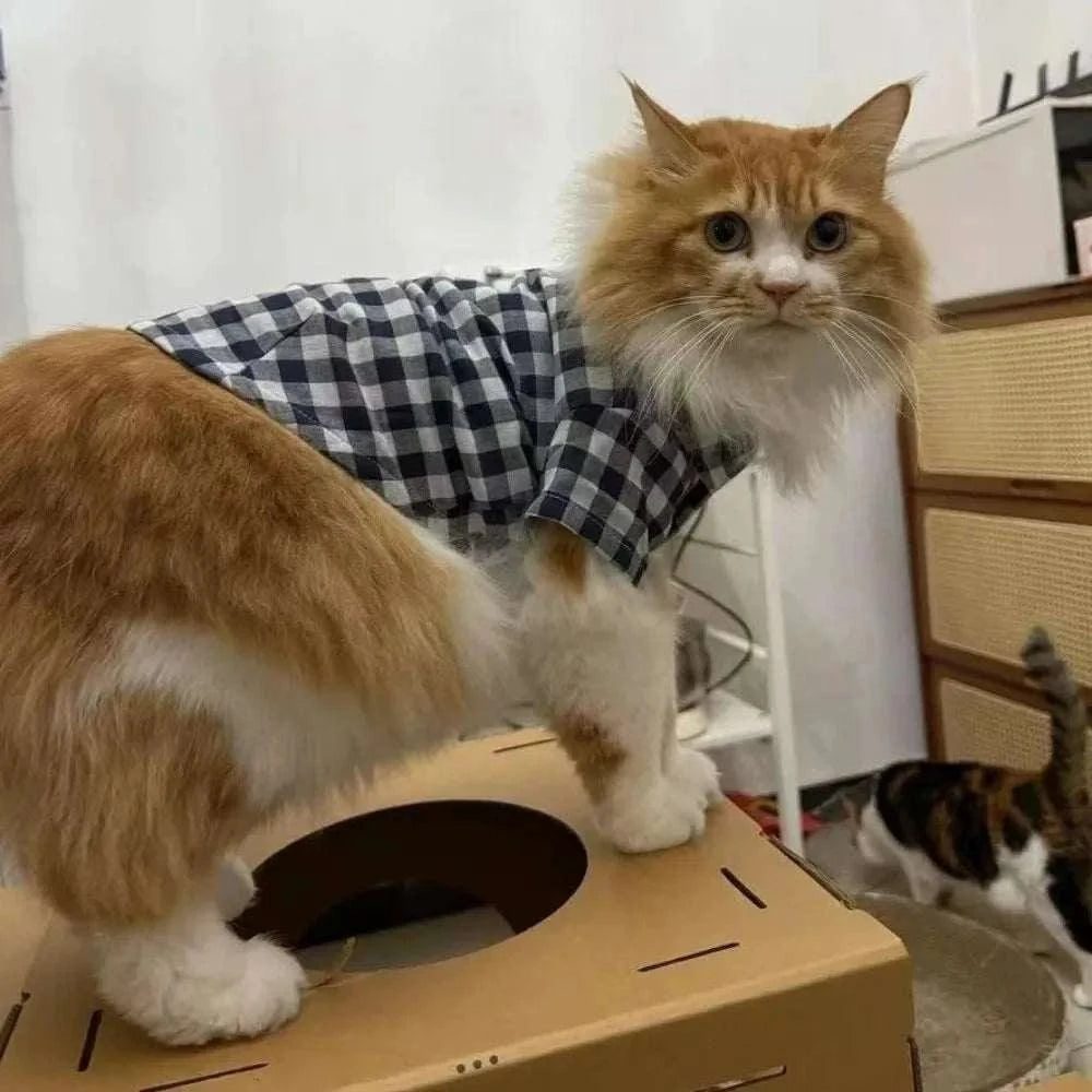 Pet Plaid Stylish & Comfy ShirtsDress your furry friends in style with these Pet Plaid Stylish &amp; Comfy Shirts. Designed for both cats and dogs, these shirts are made from soft, high-quality polHappy PawsHappy PawsPet Plaid Stylish & Comfy Shirts