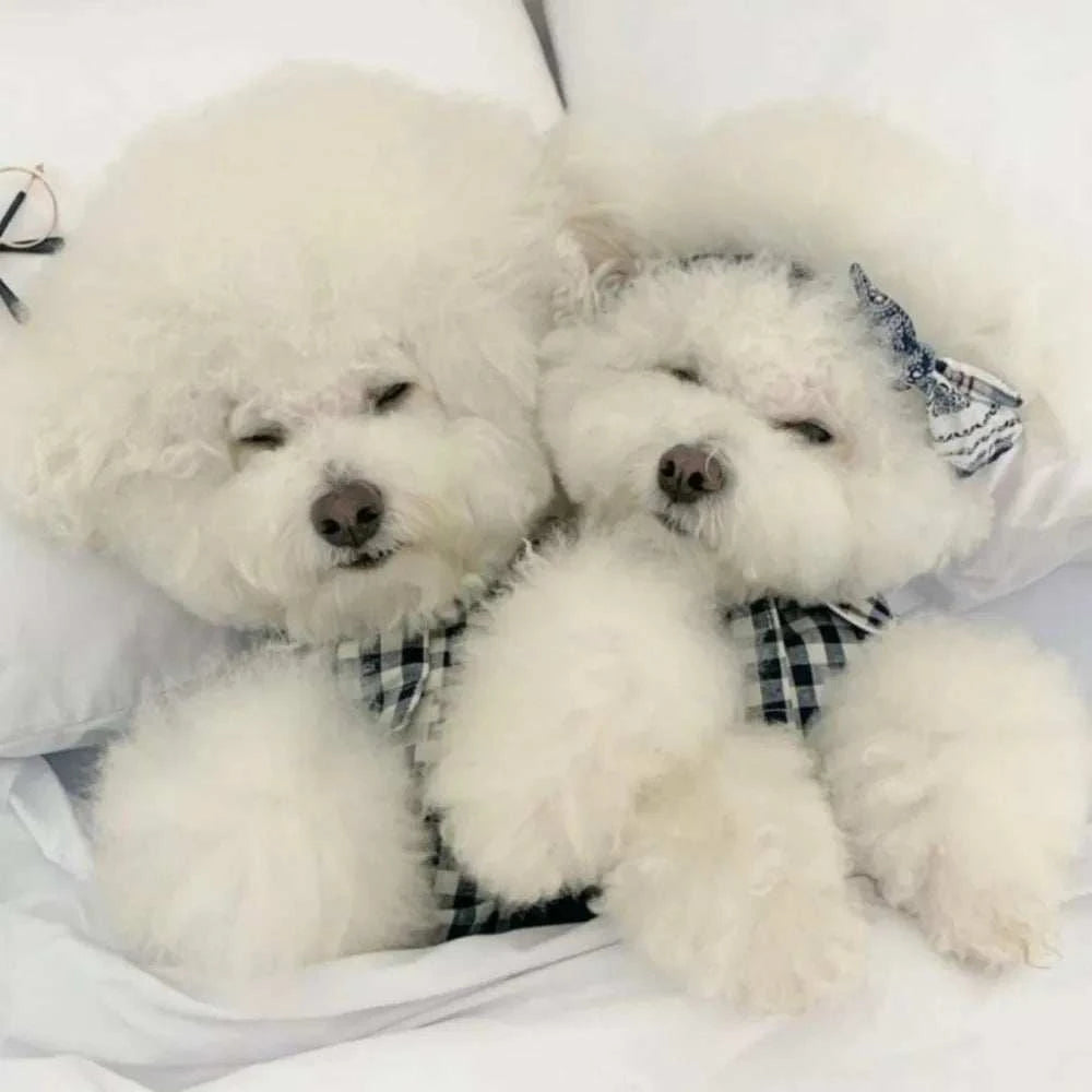 Pet Decoration Comfortable Ins Plaid Shirts