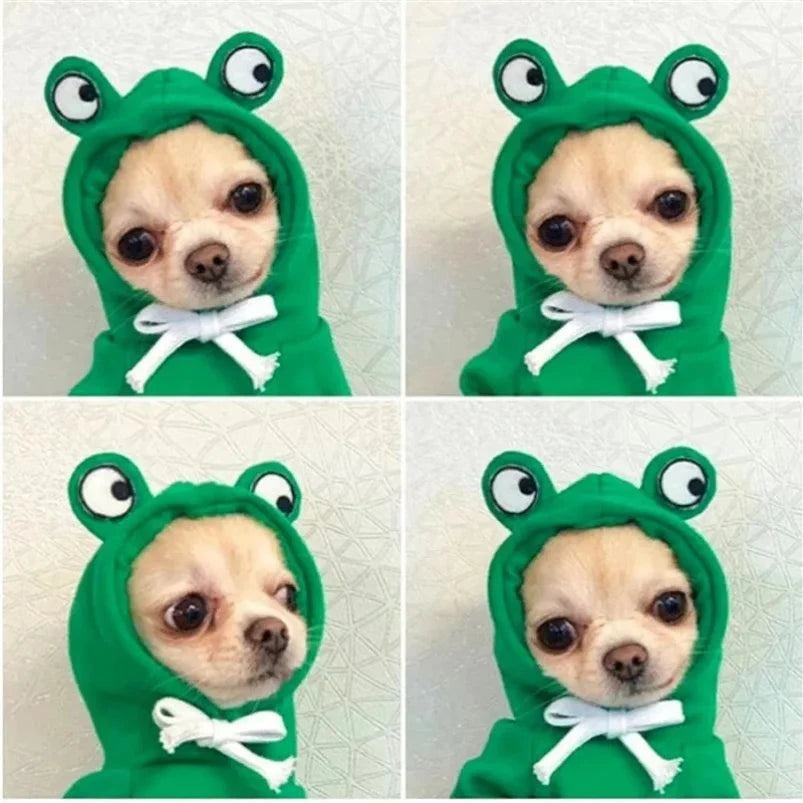 Winter Dog Hoodie for Small Dogs & French Bulldogs🐶 Winter Dog Hoodie for Small Dogs &amp; French Bulldogs
Keep your pup warm and stylish during chilly days with this Winter Dog Hoodie designed for small dogs and FHappy PawsHappy PawsWinter Dog Hoodie