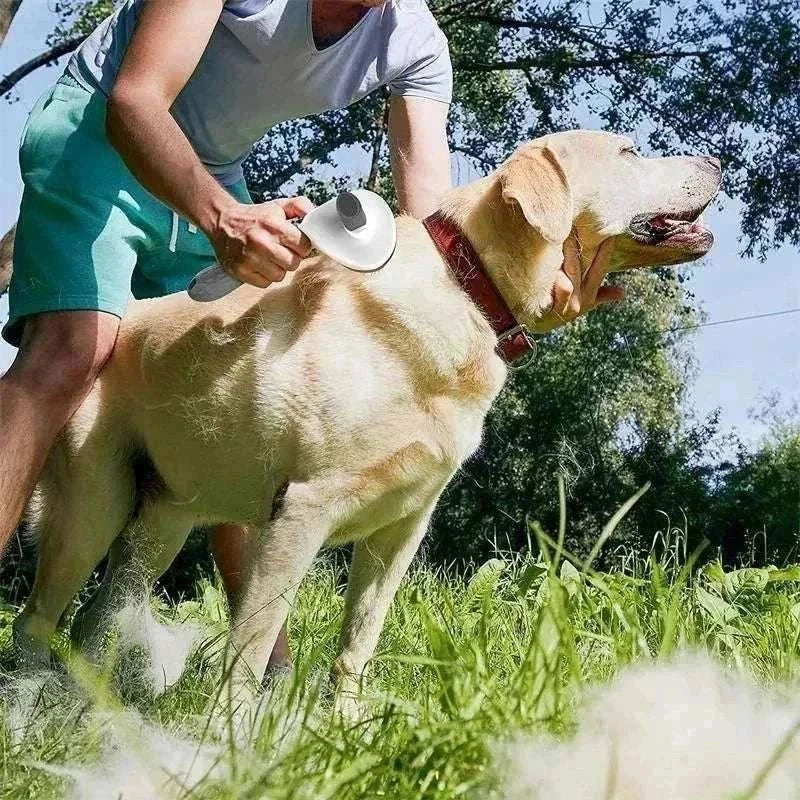 Dog Grooming Brush Massage Comb with Easy Clean FeatureThe Dog Grooming Brush Massage Comb with Easy Clean Feature is designed to gently remove loose hair while eliminating tangles, knots, dander, and trapped dirt. IdealHappy PawsHappy PawsDog Grooming Brush