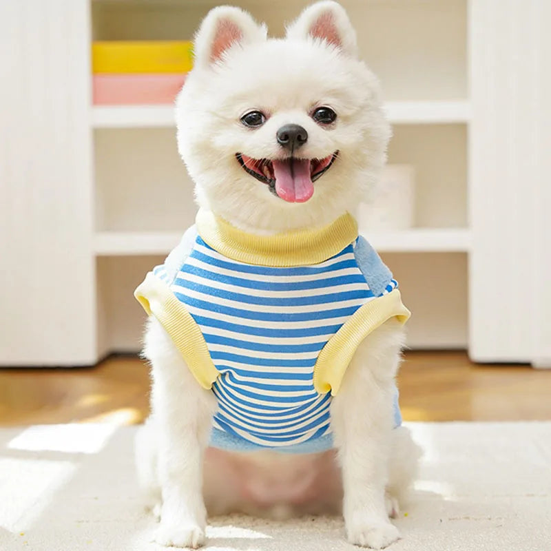 Thick Winter Dog Clothes for Teddy & Bichon