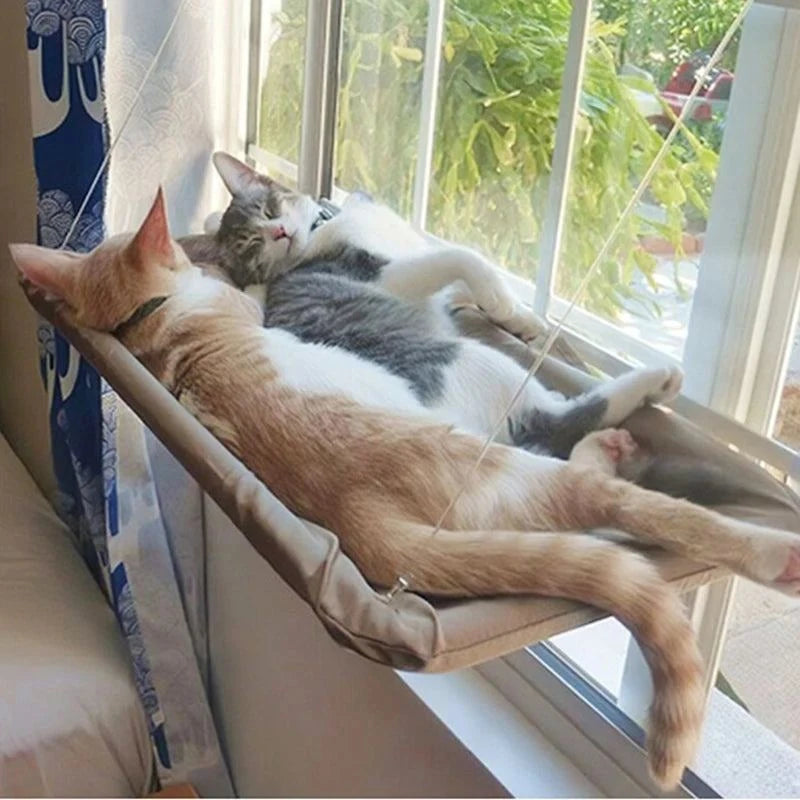 Window Cat Hammock Bed Hanging Sunny Seat🐱 Window Cat Hammock Bed – Heavy Duty Support 20kg
Give your cat the perfect sunny lounging spot with this Window Cat Hammock Bed, designed for comfort, safety, andHappy PawsHappy PawsWindow Cat Hammock Bed