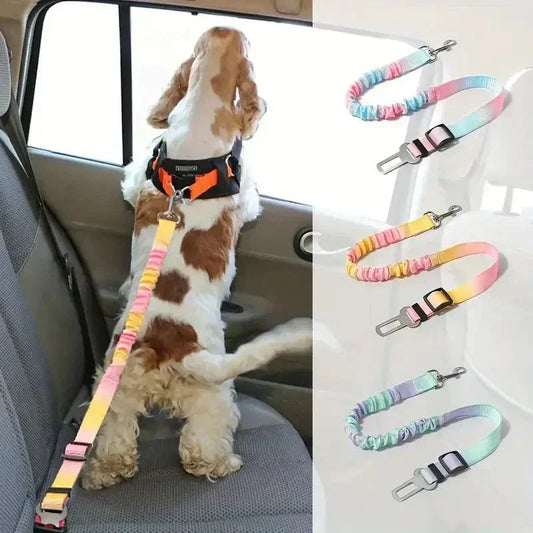 Pet Car Seat Belt securing a dog in the back seat