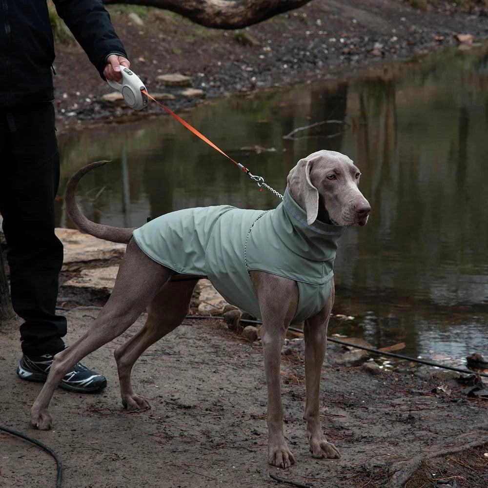 Waterproof Reflective Dog Raincoat for Medium Dogs🌧️ Waterproof Reflective Dog Raincoat for Medium Dogs
Keep your dog dry, comfortable, and visible on rainy walks with this Waterproof Reflective Dog Raincoat designHappy PawsHappy PawsWaterproof Reflective Dog Raincoat