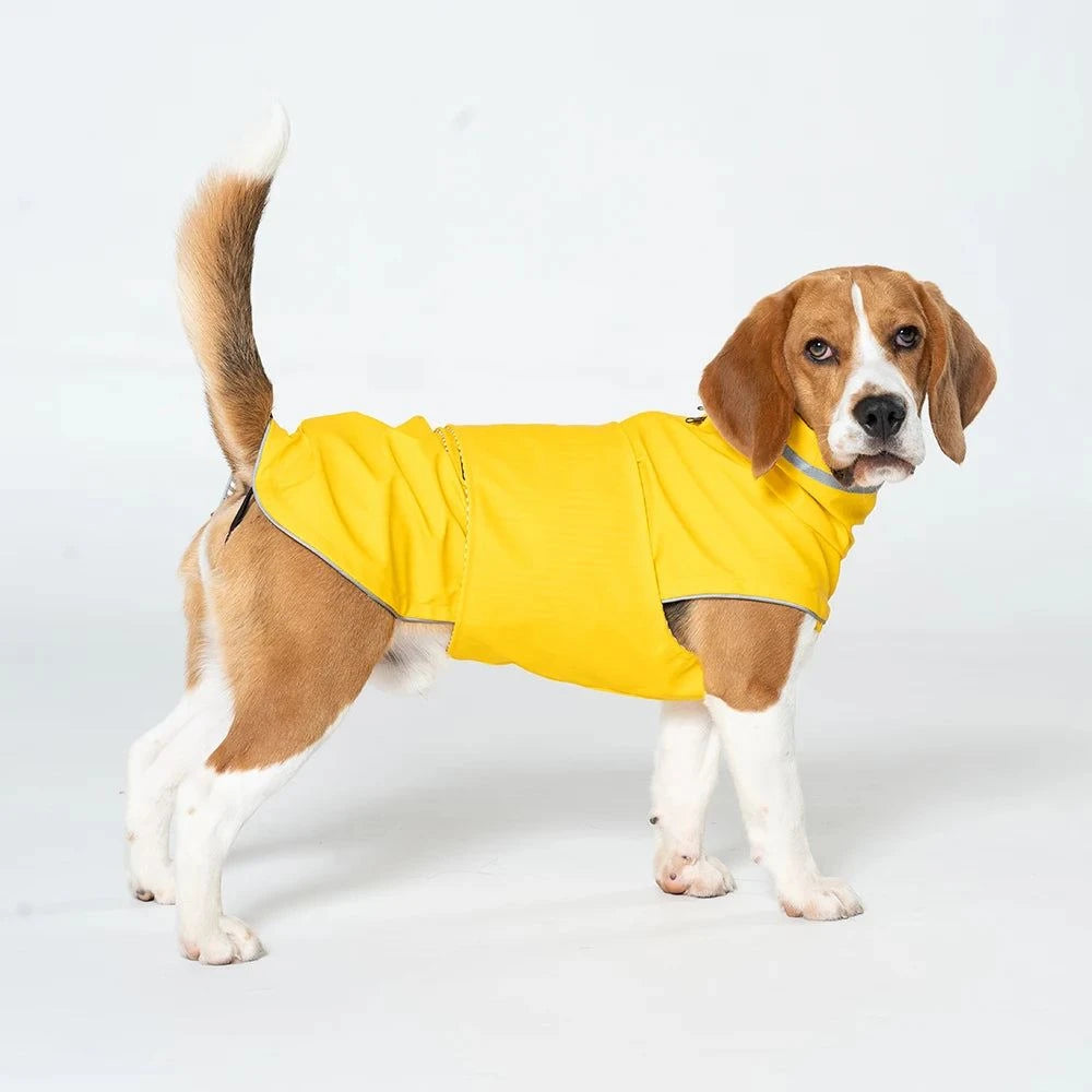 Waterproof Reflective Dog Raincoat for Medium Dogs🌧️ Waterproof Reflective Dog Raincoat for Medium Dogs
Keep your dog dry, comfortable, and visible on rainy walks with this Waterproof Reflective Dog Raincoat designHappy PawsHappy PawsWaterproof Reflective Dog Raincoat
