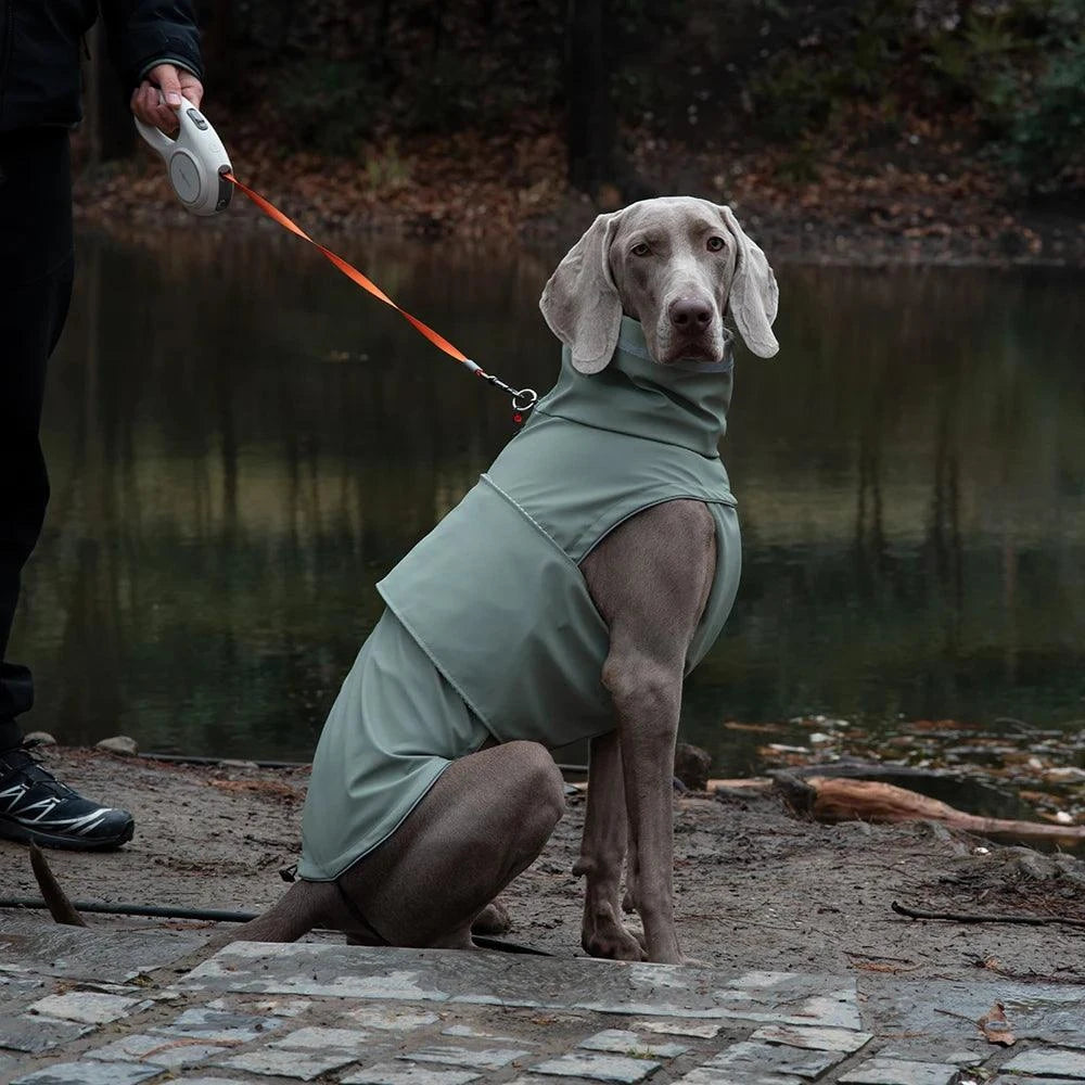 Waterproof Reflective Dog Raincoat for Medium Dogs🌧️ Waterproof Reflective Dog Raincoat for Medium Dogs
Keep your dog dry, comfortable, and visible on rainy walks with this Waterproof Reflective Dog Raincoat designHappy PawsHappy PawsWaterproof Reflective Dog Raincoat