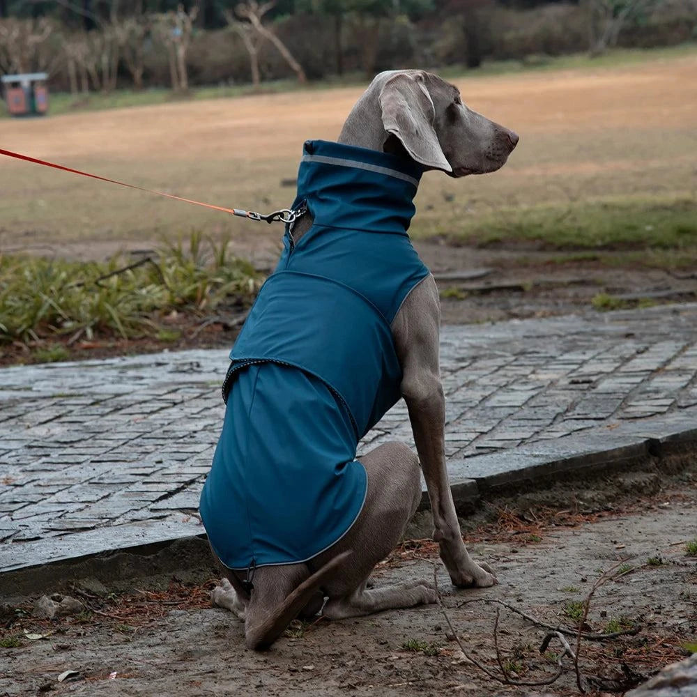 Waterproof Reflective Dog Raincoat for Medium Dogs🌧️ Waterproof Reflective Dog Raincoat for Medium Dogs
Keep your dog dry, comfortable, and visible on rainy walks with this Waterproof Reflective Dog Raincoat designHappy PawsHappy PawsWaterproof Reflective Dog Raincoat