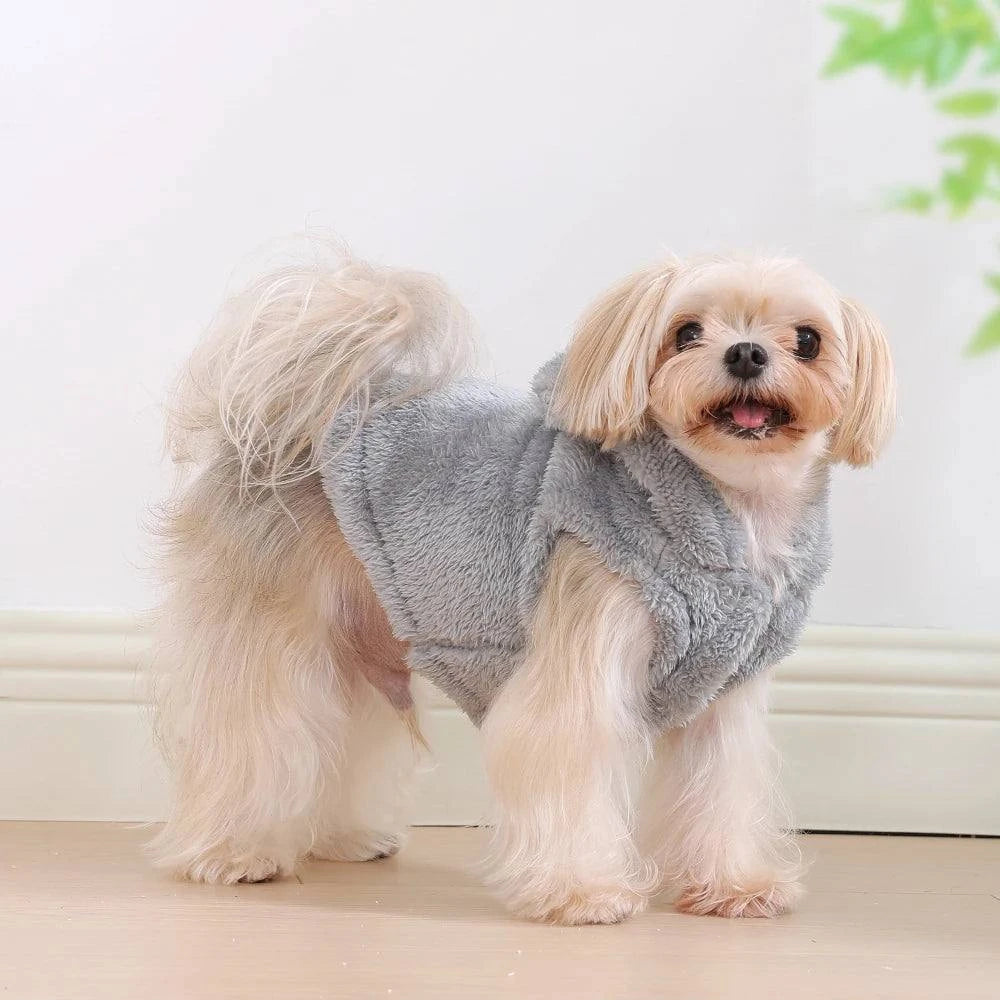 Soft Fleece Dog Hoodie Coat for Small & Medium Dogs🐶 Soft Fleece Dog Hoodie Coat for Small &amp; Medium Dogs
Keep your pet warm, cozy, and stylish with this Soft Fleece Dog Hoodie Coat designed for small and medium Happy PawsHappy PawsSoft Fleece Dog Hoodie
