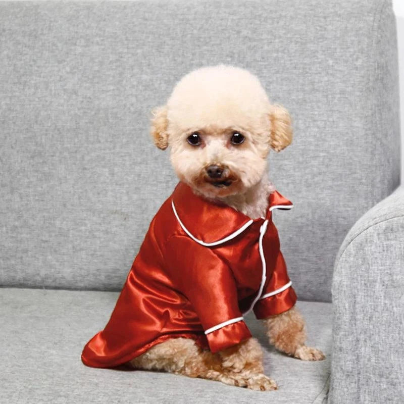 Dog Pajamas Shirt for Small & Medium Dogs🐶 Lightweight Dog Pajamas Shirt for Small &amp; Medium Dogs
Keep your furry friend comfortable and stylish with this Lightweight Dog Pajamas Shirt, designed for smaHappy PawsHappy PawsLightweight Dog Pajamas Shirt