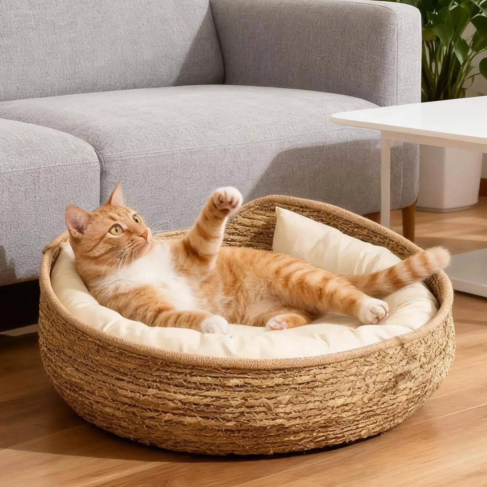 Bamboo Woven Pet Bed Sofa with Removable Cushion🛋️ Bamboo Woven Pet Bed Sofa with Removable Cushion
Upgrade your pet’s comfort with this beautifully crafted Bamboo Woven Pet Bed Sofa, designed for both style and Happy PawsHappy PawsBamboo Woven Pet Bed