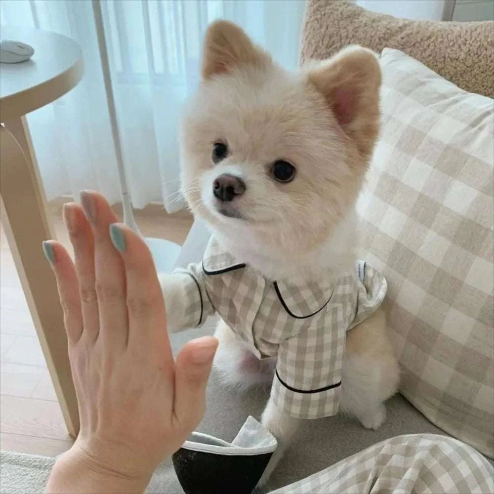 Pet Decoration Comfortable Ins Plaid Shirts