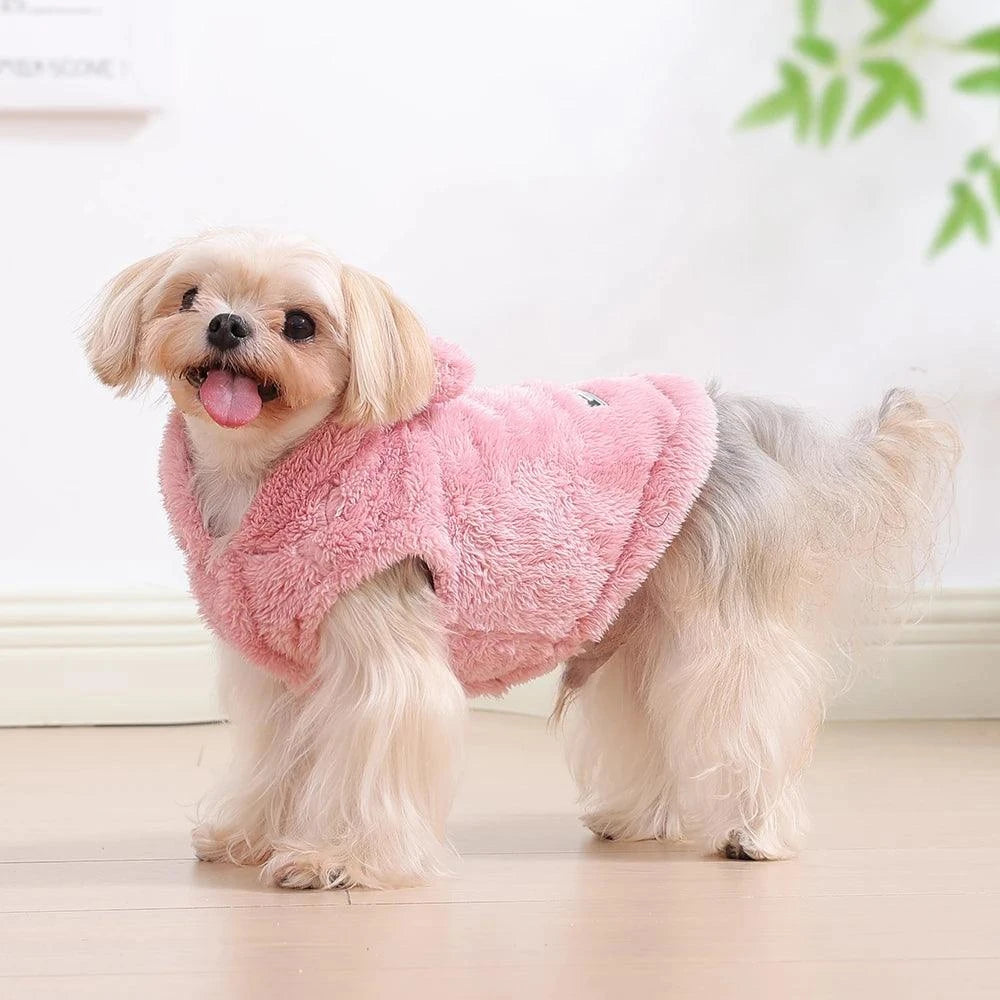 Soft Fleece Dog Hoodie Coat for Small & Medium Dogs🐶 Soft Fleece Dog Hoodie Coat for Small &amp; Medium Dogs
Keep your pet warm, cozy, and stylish with this Soft Fleece Dog Hoodie Coat designed for small and medium Happy PawsHappy PawsSoft Fleece Dog Hoodie