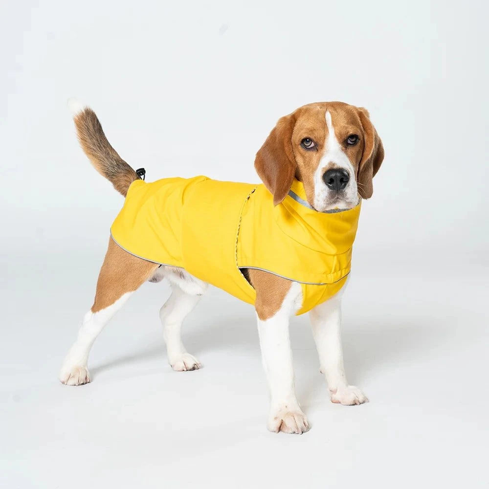 Waterproof Reflective Dog Raincoat for Medium Dogs🌧️ Waterproof Reflective Dog Raincoat for Medium Dogs
Keep your dog dry, comfortable, and visible on rainy walks with this Waterproof Reflective Dog Raincoat designHappy PawsHappy PawsWaterproof Reflective Dog Raincoat