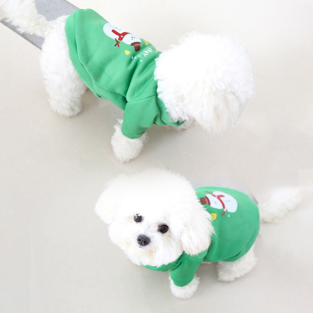 Dog Christmas crew neck sweater in red with Christmas tree design worn by a small dog