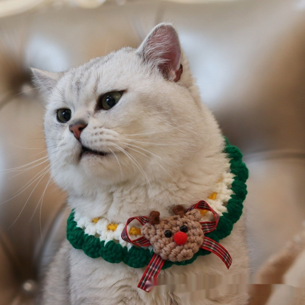 Christmas pet collar with green lace and red tulip pattern worn by a fluffy cat