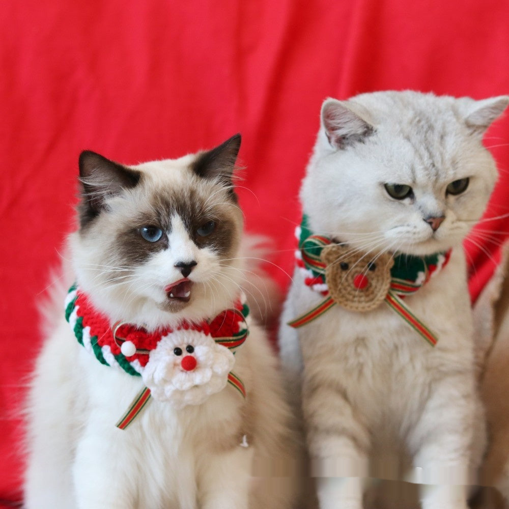 Christmas pet collar with green lace and red tulip pattern worn by a fluffy cat